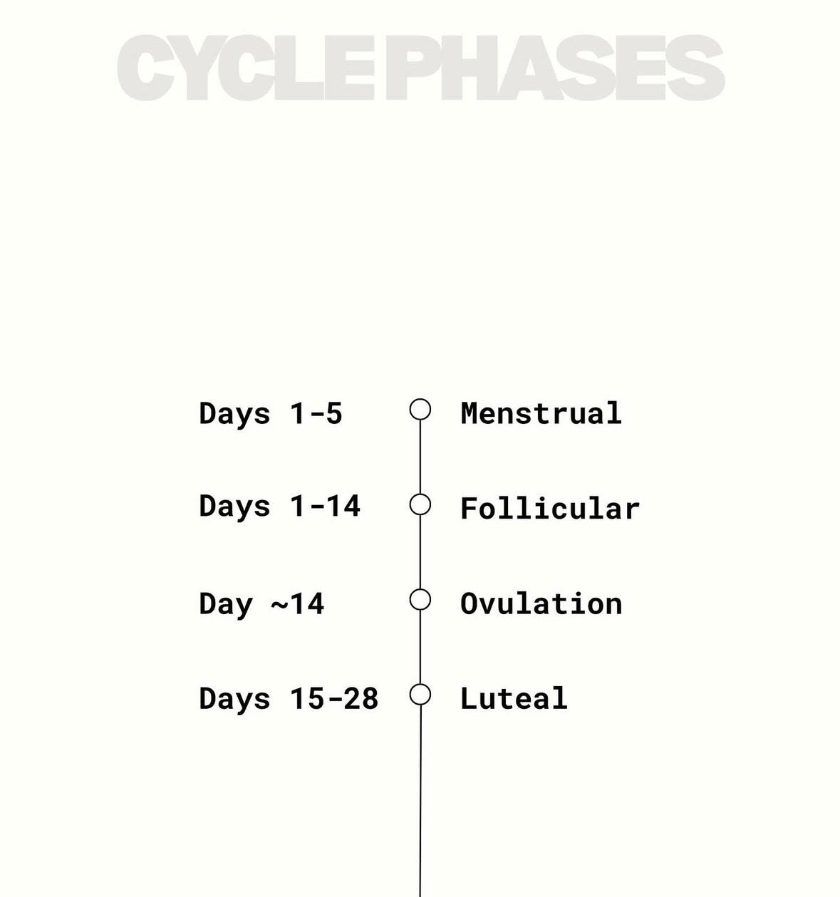 Generated graphic displaying timeline for menstrual cycle phases 